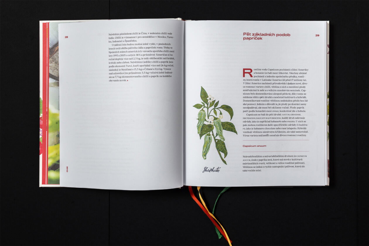 07 - Chilli – průvodce světem pálivého jídla